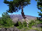 Il Parco dell'Etna - B&B "Etna Break"